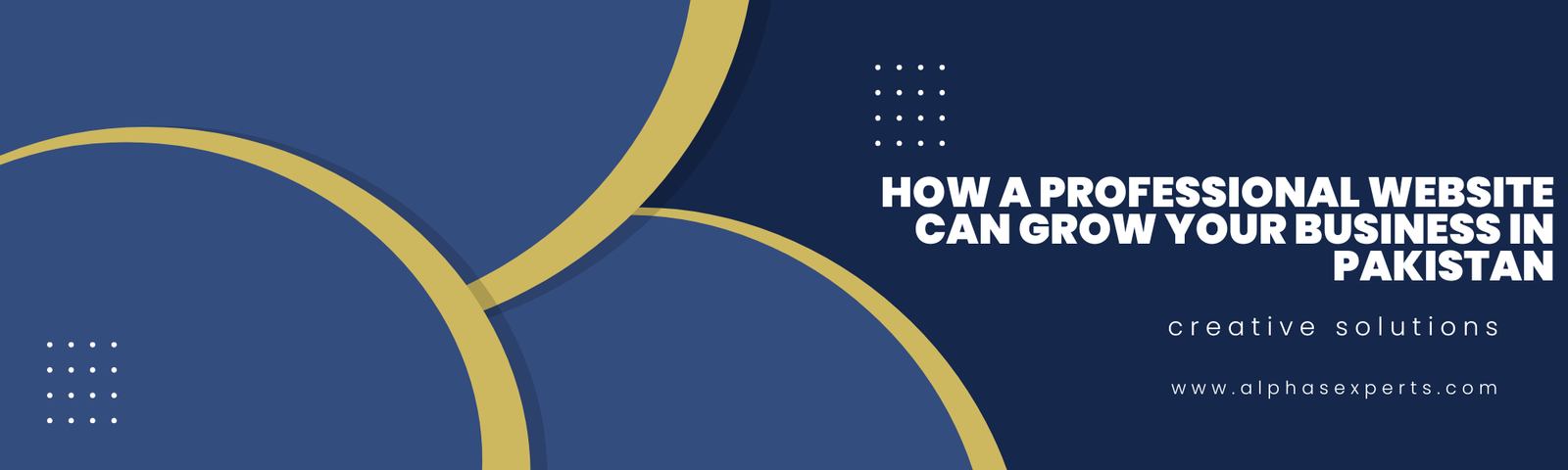 How a Professional Website Can Grow Your Business in Pakistan - blog post by AlphaExperts